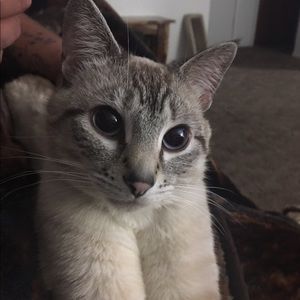 Meet your Posher, Jaimee